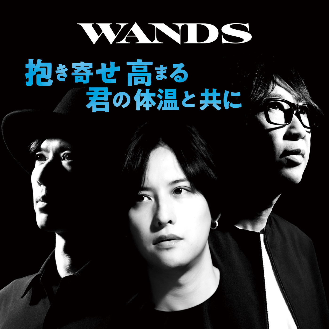 WANDS OFFICIAL WEBSITE