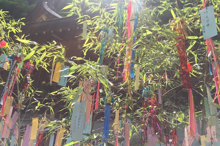 神代杉大黒天 久保田唯心作 神代杉大黒天 久保田唯心作 神代杉大黒天