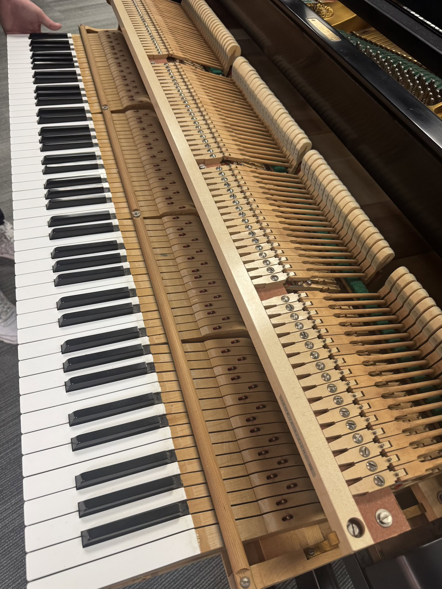 Yamaha G2 Grand Piano #264129 | Walter Piano Store