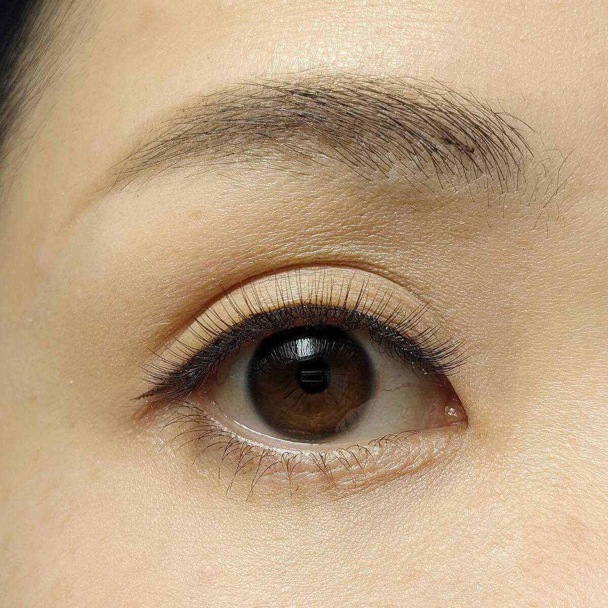 付けまつ毛 LJ 3D つけまつげ 05 華やかブラウン 044684