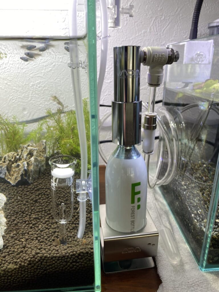 ADA】CO2アドバンスシステム フォレストを買ってみたのでレビュー