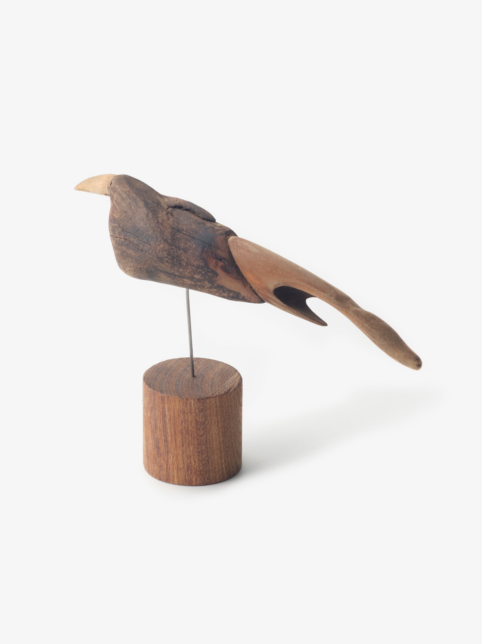 流木の鳥｜針原修