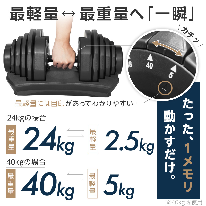 新発売】【1年保証】 ライシン パンプキング 片手式 24kg/40kg 1個/2個