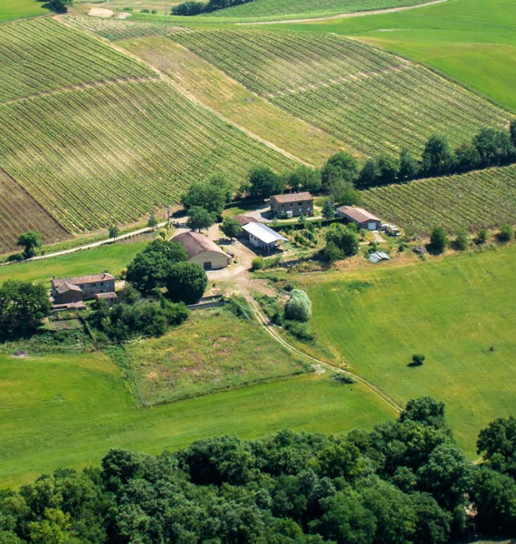 ピアン・デッレ・クエルチ】D.O.C ロッソ ディ モンタルチーノ 2021