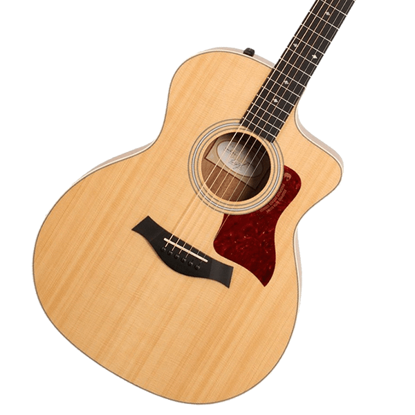 エレアコ TAYLOR｜246ZAIKI