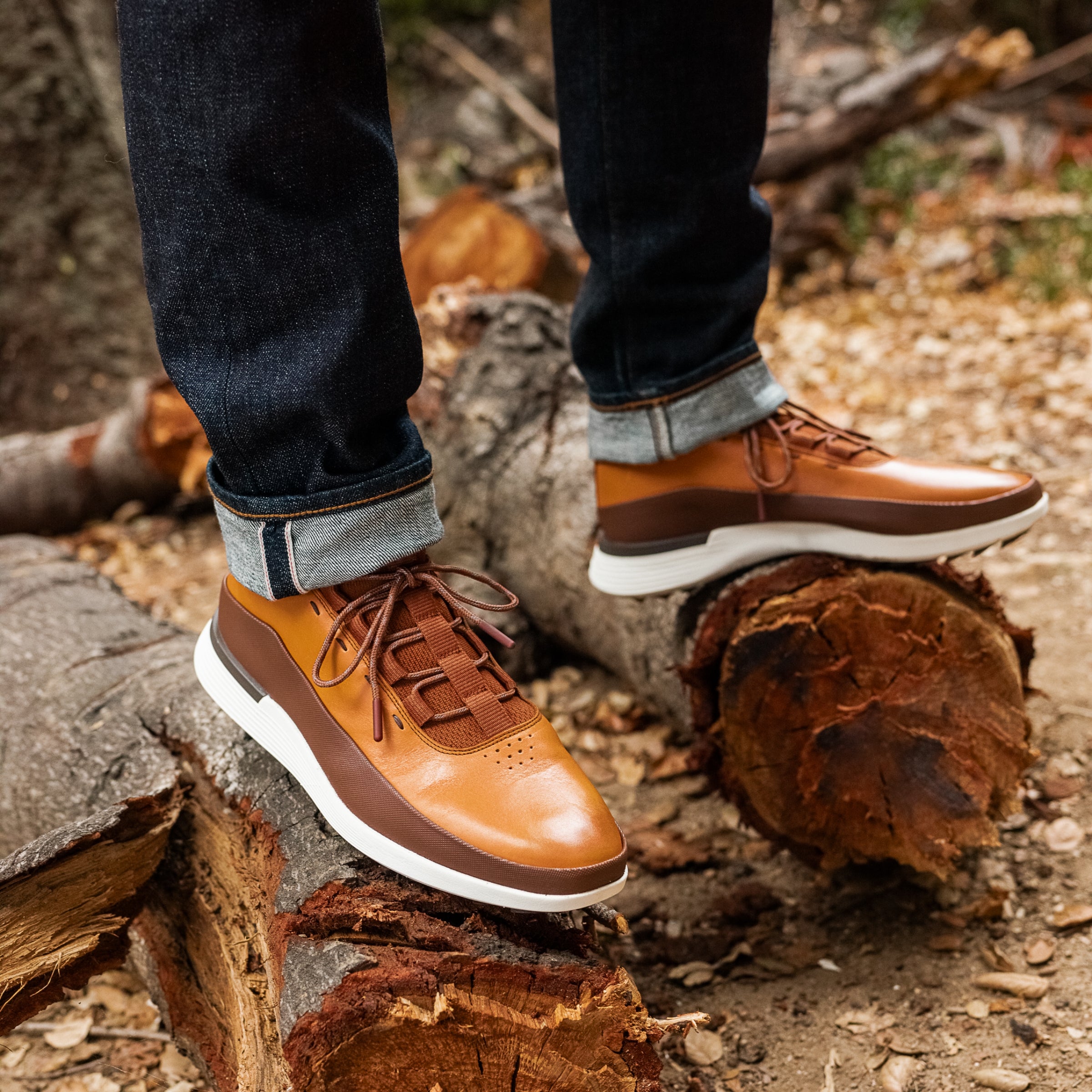 WTZ – Wolf & Shepherd