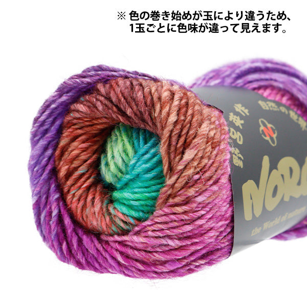 秋冬毛糸 『シルクガーデン 536番色』 NORO 野呂英作 – Yuzawaya