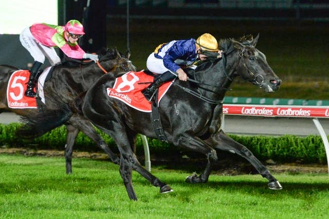 アフェアーアスイーヴルが3連勝、豪G1オーストララシアンオークスで重