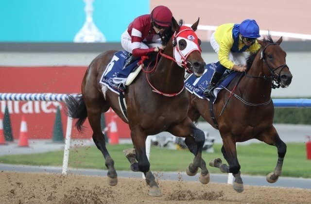 BCクラシック枠順】フォーエバーヤングは1番ゲート、デルマソトガケは6