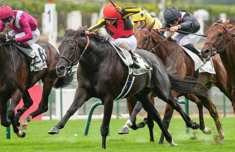 クロワデュノール（Croix du Nord） | 競馬データベース | JRA-VAN