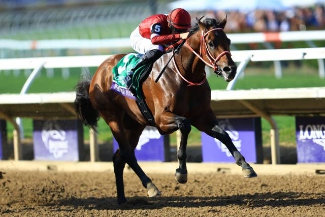 BCクラシック】フォーエバーヤングが歴史的勝利！昨年3着の雪辱を