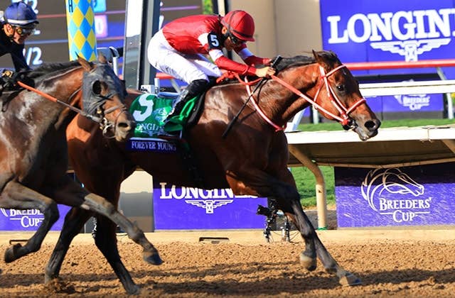 結果 | 2025ブリーダーズカップクラシック | JRA-VAN World - 海外競馬