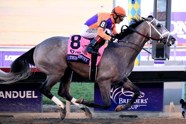 KYダービー長期前売り第2回、BC制覇のテッドノフィーが事実上の1番人気