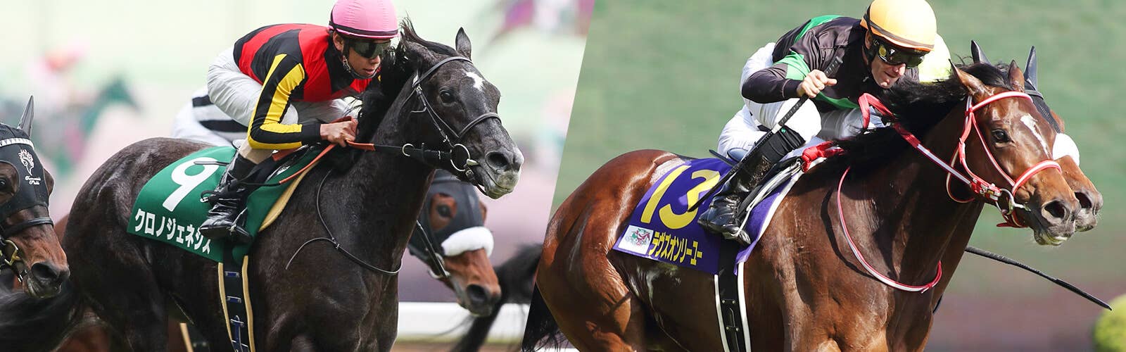 沿革 | 2021ドバイシーマクラシック | JRA-VAN ver.World