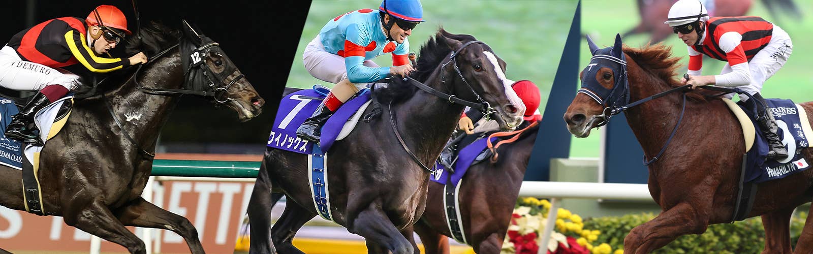 2023ドバイシーマクラシック | JRA-VAN World - 海外競馬情報サイト