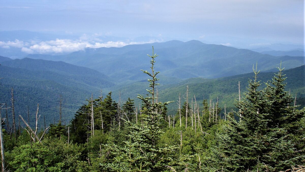 グレート・スモーキー山脈国立公園 - 世界遺産を学ぶ