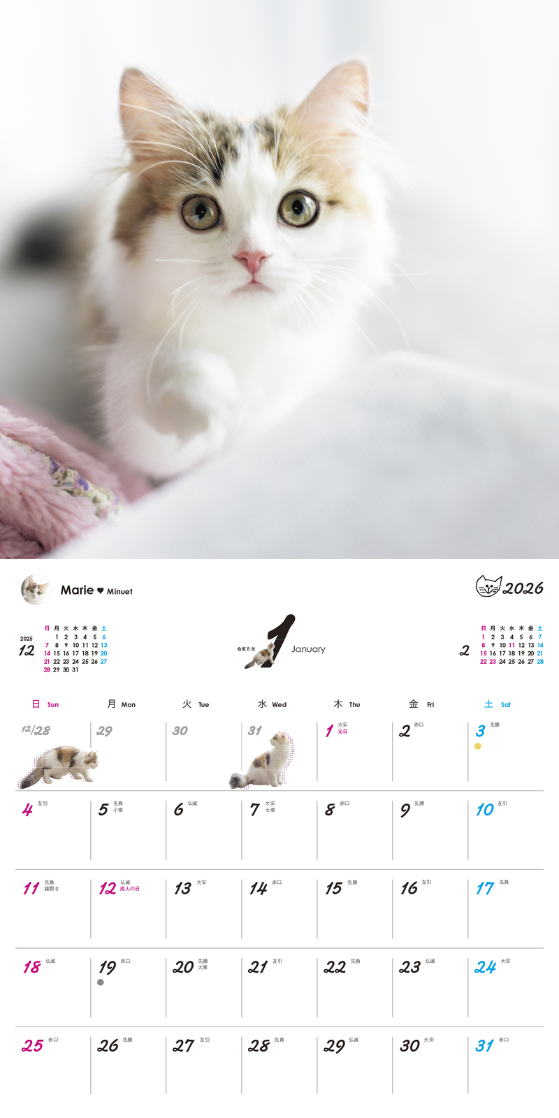 オレンジページ うちのニャンコ。壁掛カレンダー2026 | オレンジページ