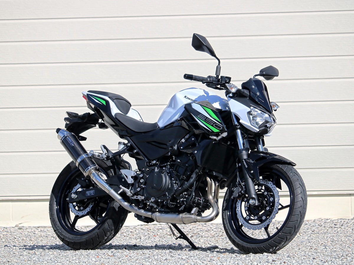 2019-2022・2023- Z250【2BK-EX250P】・【8BK-EX250Y】/ Z400【2BL