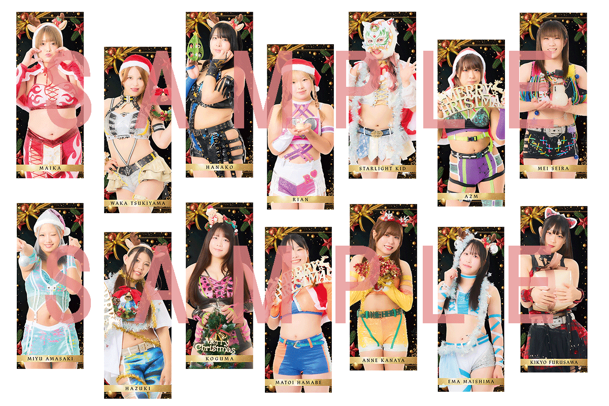 受注開始】等身大タペストリー クリスマス/ビジュアルタオル