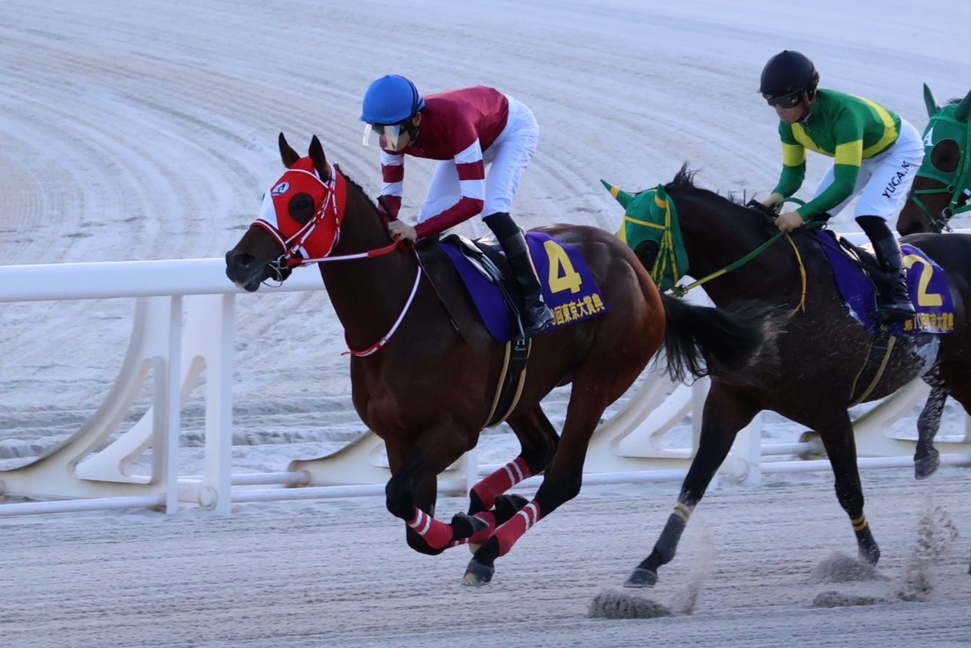 JRA賞2024】フォーエバーヤング＆レモンポップ、ダート馬の評価は妥当