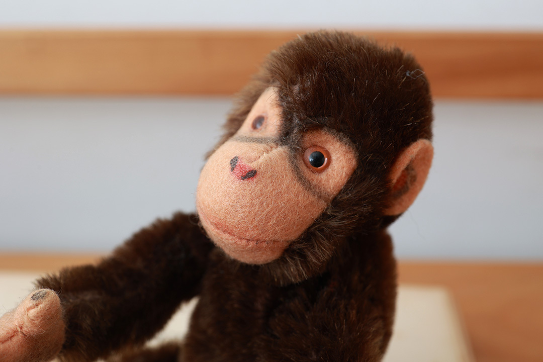 1960年代シュタイフ社のチンパンジー (Jocko)