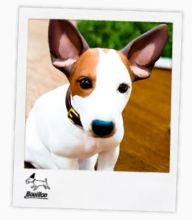 ほぼ日刊イトイ新聞 - ちいさなブイヨンができるまで。