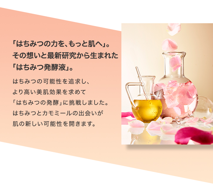 ハニーラボ メイク落とし〈クレンジングリキッド〉｜化粧品の通販 山田