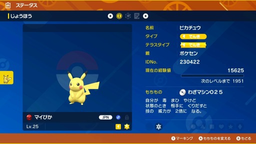 25周年のポケモンセンターで「ピカッと ピカピカ ピカチュウ