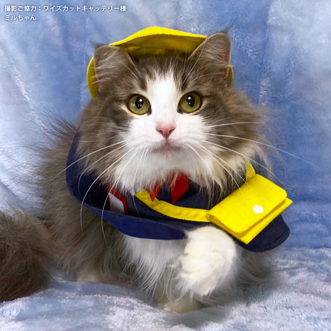 ゴロにゃんオリジナル 猫服 ワンタッチコーデシリーズ 幼稚園気分 M