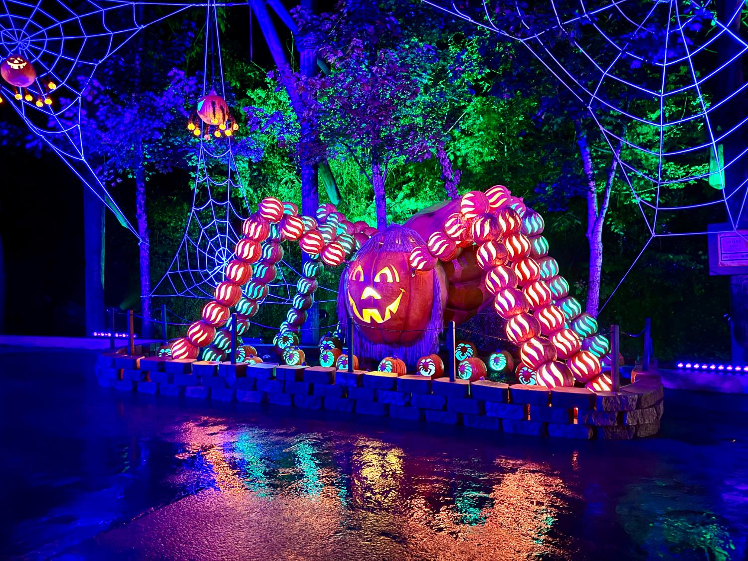 Gourds Galore at Dollywood's Great Pumpkin LumiNights 2025