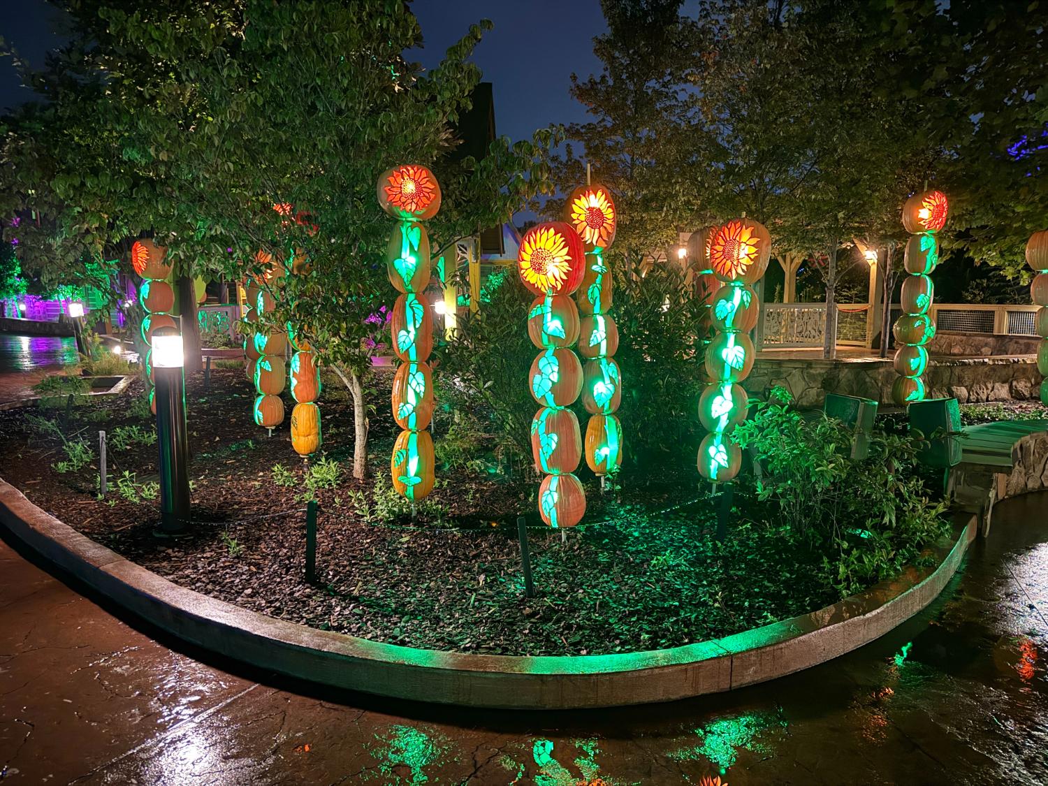 Gourds Galore at Dollywood's Great Pumpkin LumiNights 2025