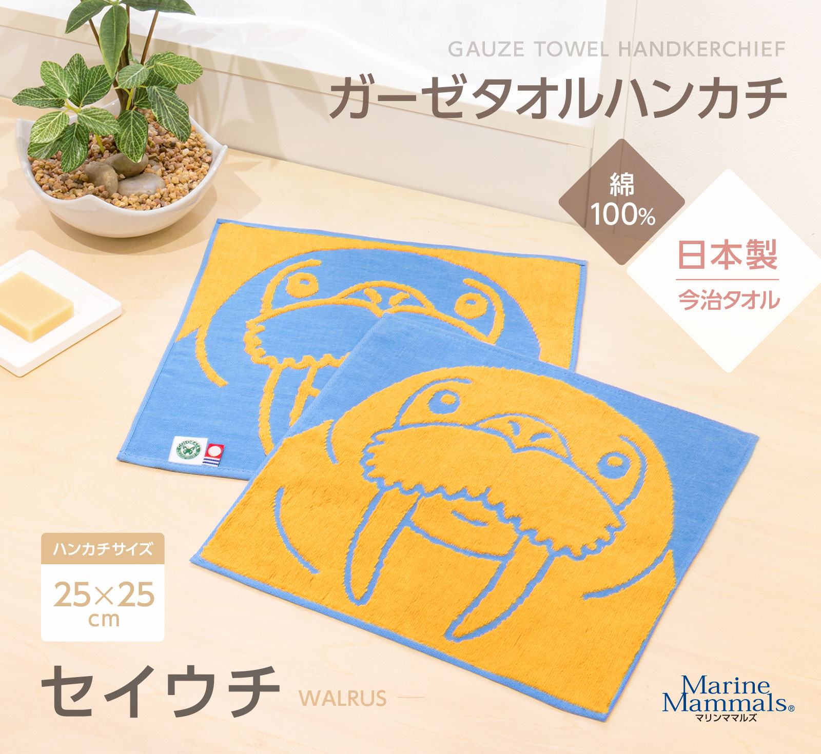 ガーゼタオルハンカチ セイウチ│動物 カロラータ オンラインショップ