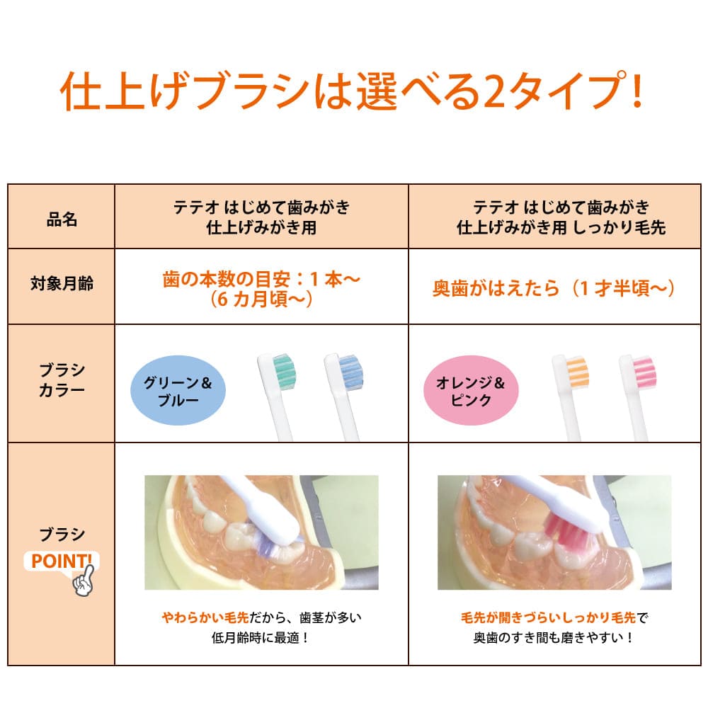 テテオ はじめて歯みがき仕上げみがき用 しっかり毛先｜コンビ公式