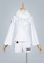 ポケットモンスターソード・シールド ポケモン剣盾 ジムリーダー