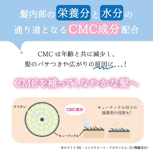 モイストリッチシャンプーコンパクト / アミノマスター(シャンプー