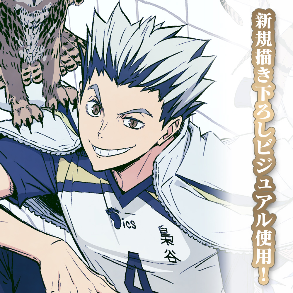 描き下ろし 木兎光太郎 B2タペストリー 飛翔Ver. [ハイキュー