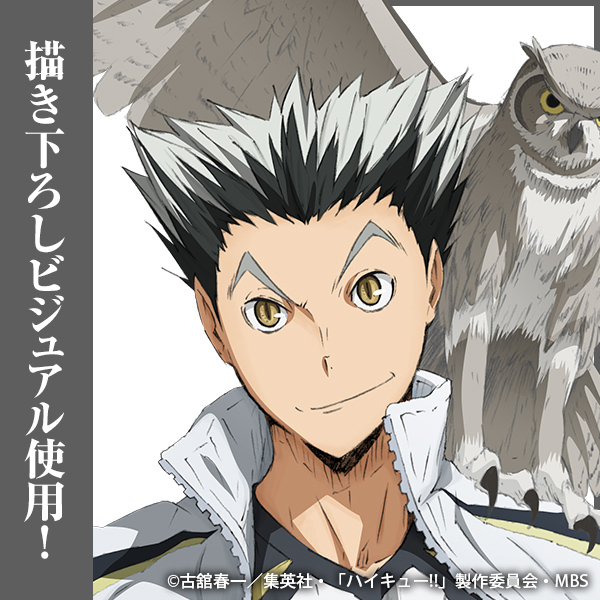 木兎光太郎 アクリルスタンド（大）Ver.1.0 [ハイキュー!!] | 公式