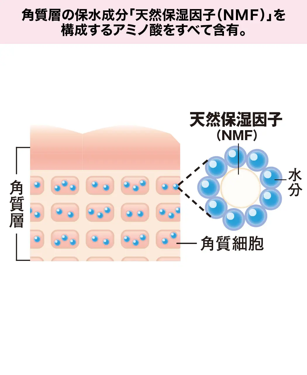 通販生活®日本酒エキスローション「ゆきあかり」｜【公式】カタログ