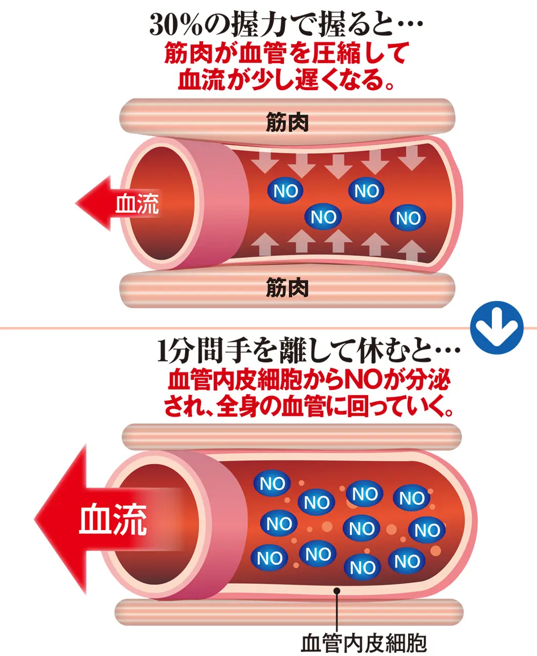 通販生活®メディカルグリップ®｜【公式】カタログハウスの通販サイト
