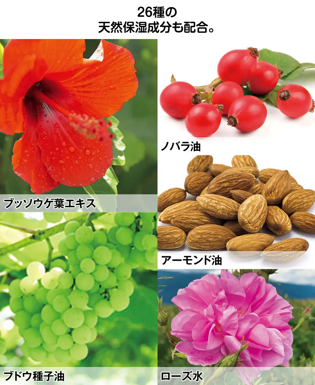 通販生活®セラミドボディミルク『真白玉』-スキンケア・化粧品｜【公式