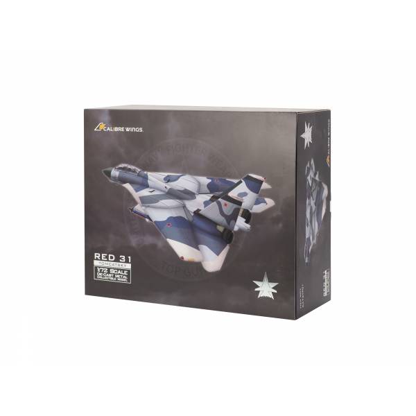 F-14A VF-126 Red 31 'Tomcatsky' BuNo 159855