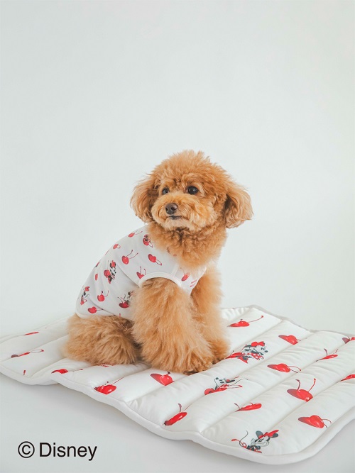 gelato pique（ジェラートピケ）【CAT&DOG】【販路限定商品】【接触冷