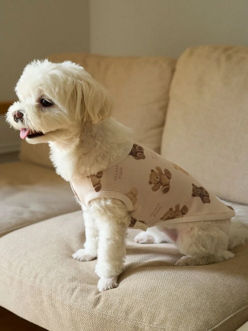 gelato pique（ジェラートピケ）【CAT&DOG】【販路限定商品】ベア柄