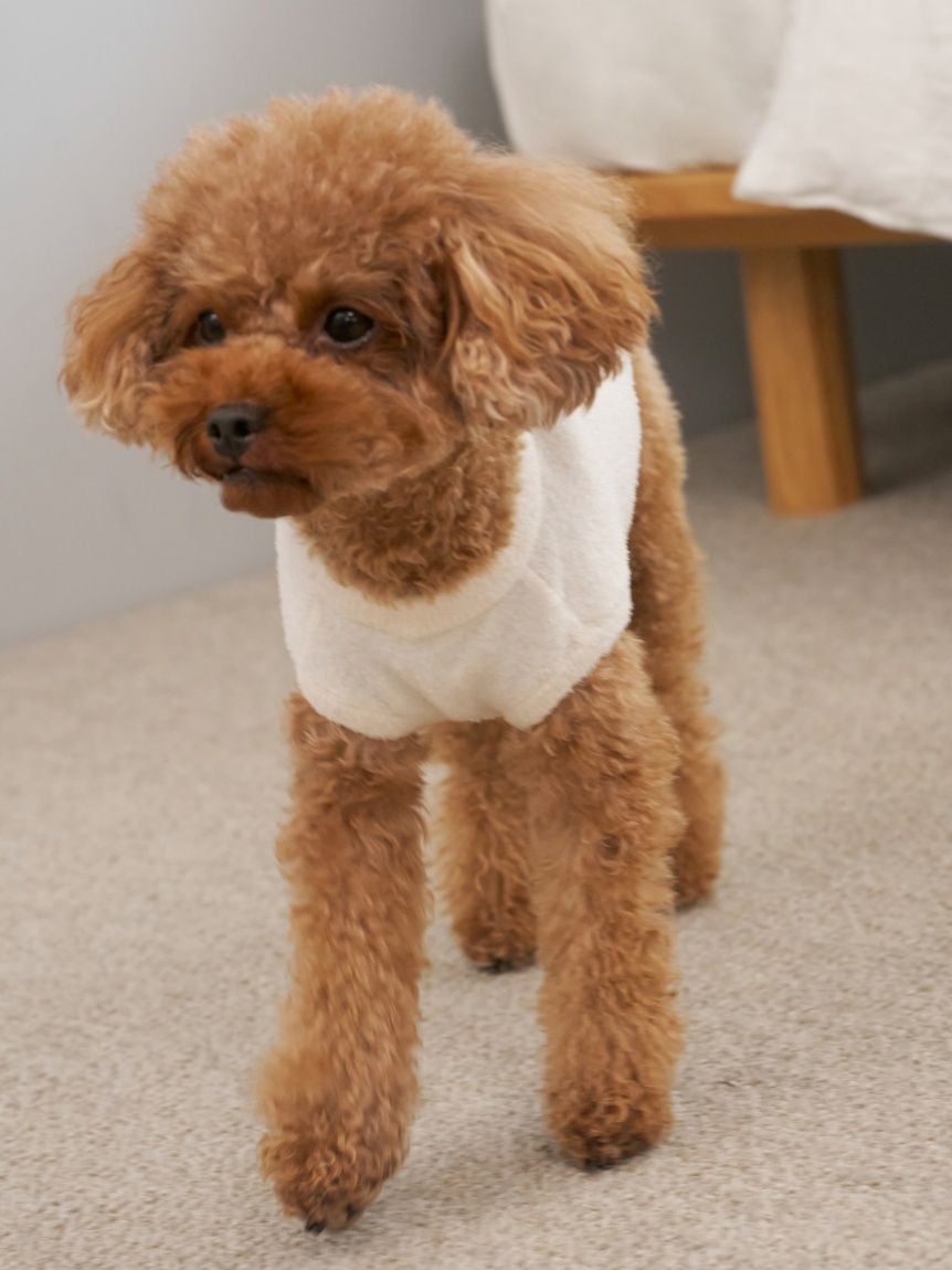 gelato pique（ジェラートピケ）【CAT&DOG】【販路限定商品】ベア