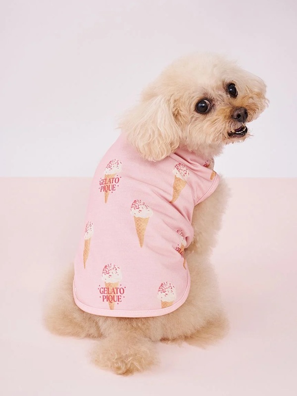 gelato pique（ジェラート ピケ） | 犬服・ドックウェアCalulu(カルル)