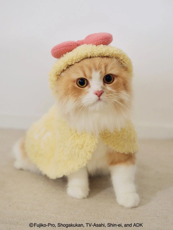 gelato pique（ジェラートピケ）【CAT&DOG】【販路限定商品