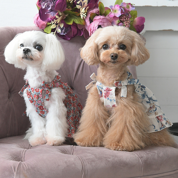 LAURA ASHLEY（ローラアシュレイ）スモッキング刺繍キャミワンピース