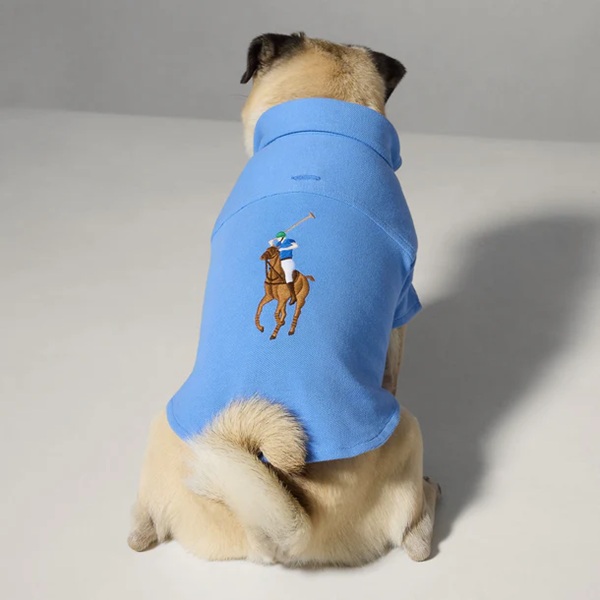 RALPH LAUREN（ラルフローレン）ポロポニーコットンメッシュポロシャツ