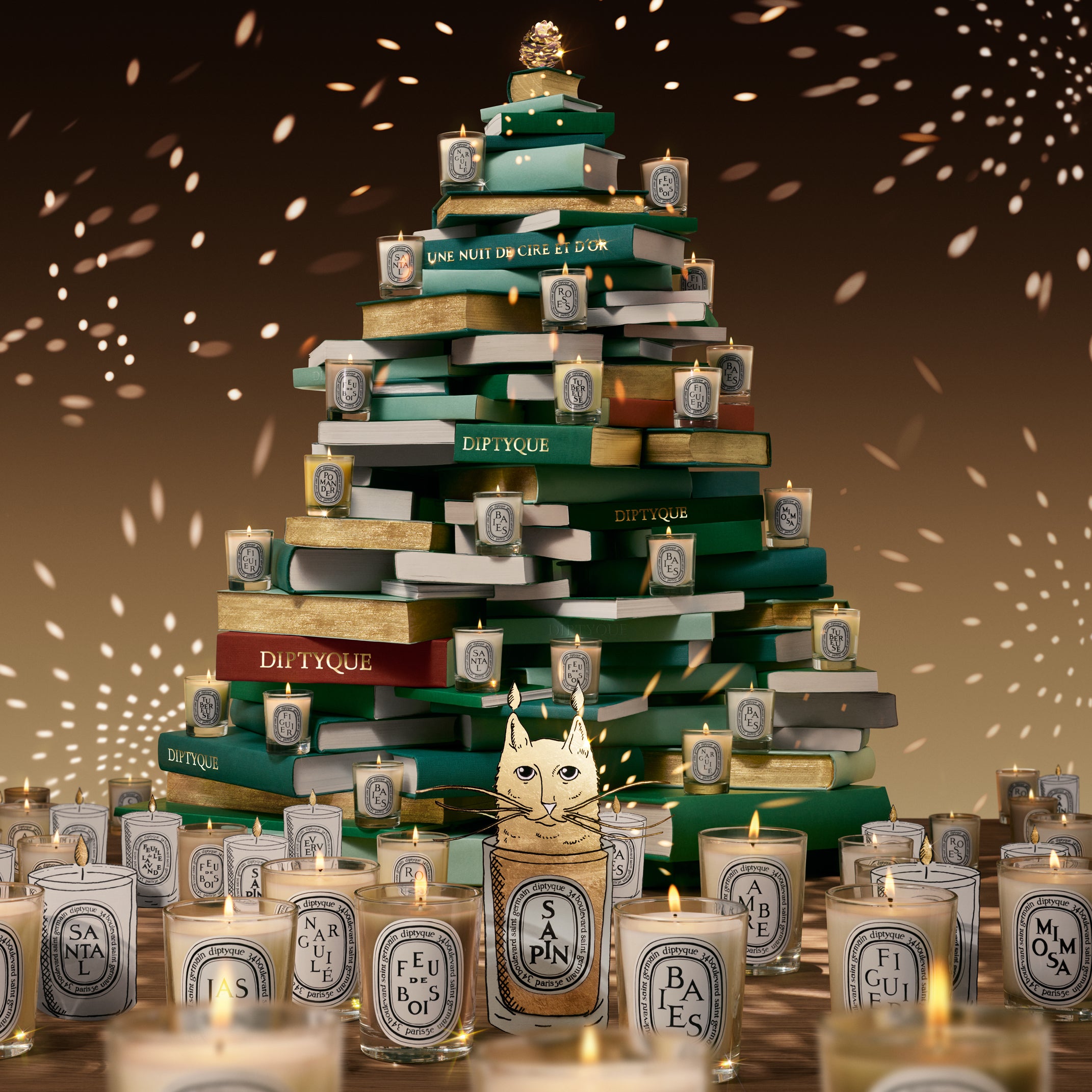 Diptyque - Sapine Candle (Pine Tree) | Candle Delirium