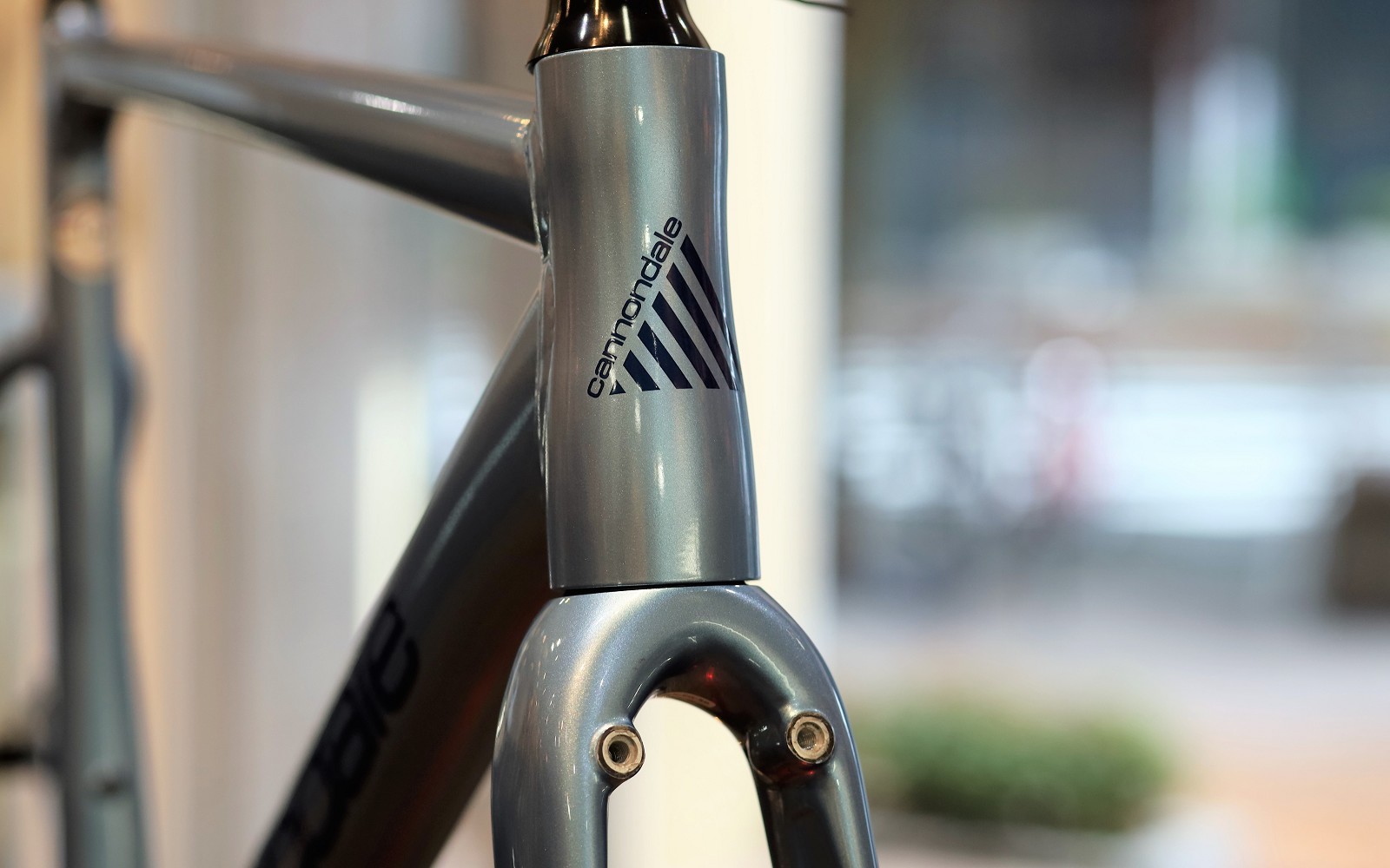 3月, 2022 | キャノンデール横浜